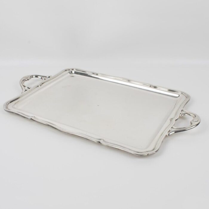 ALPACA TRAY V058 1 master