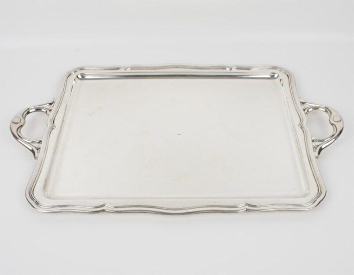 ALPACA TRAY V058 3 master