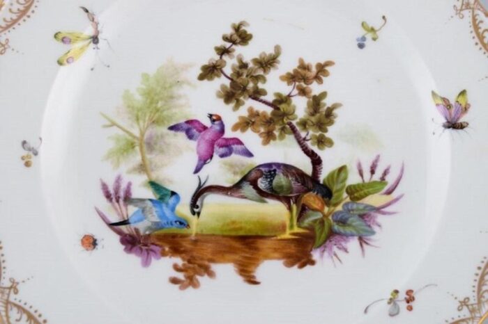 antique and meissen porcelain plate with hand painted birds and insects 2