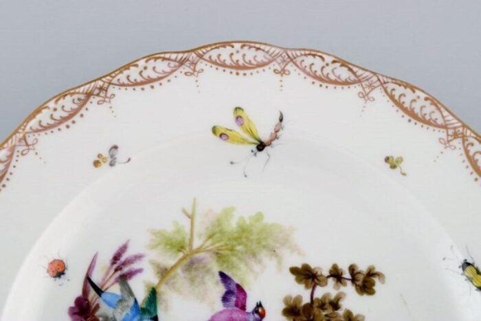 antique and meissen porcelain plate with hand painted birds and insects 3