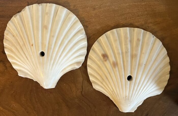 antique art deco italian carved marble scallop sea shells circa 1920 a pair 0143