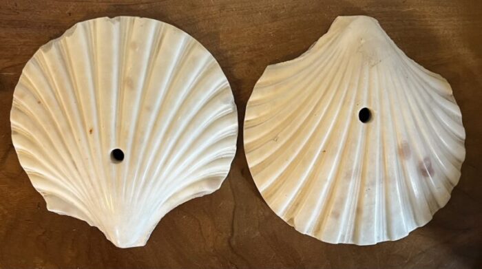 antique art deco italian carved marble scallop sea shells circa 1920 a pair 1121