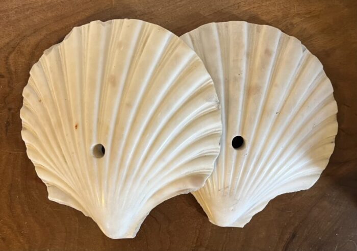 antique art deco italian carved marble scallop sea shells circa 1920 a pair 1197