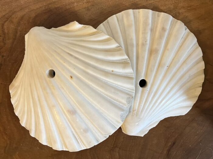 antique art deco italian carved marble scallop sea shells circa 1920 a pair 6622