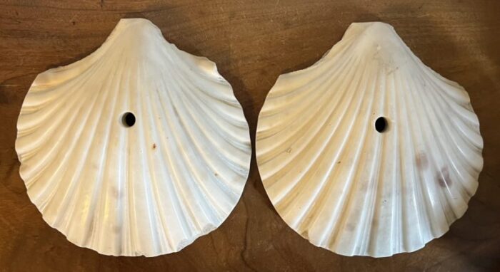 antique art deco italian carved marble scallop sea shells circa 1920 a pair 7349