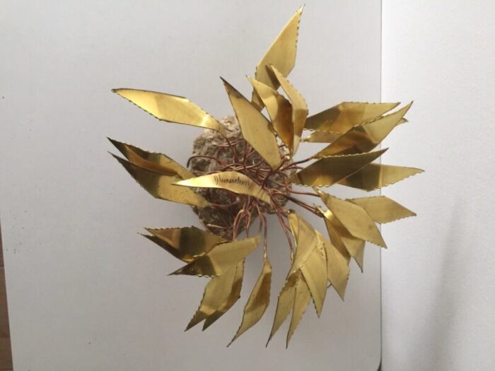 decorative brass palm tree by daniel d haeseleer 1970s 4