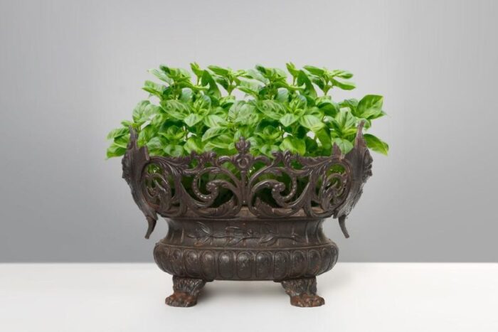 french planter in cast iron 1850s 4134