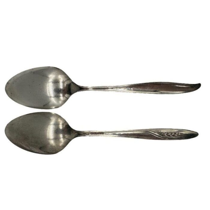 mid century silver flower and song of autumn serving spoons by oneida silver pair 0526