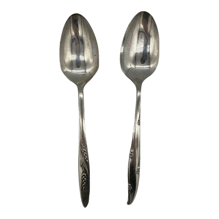 mid century silver flower and song of autumn serving spoons by oneida silver pair 4352