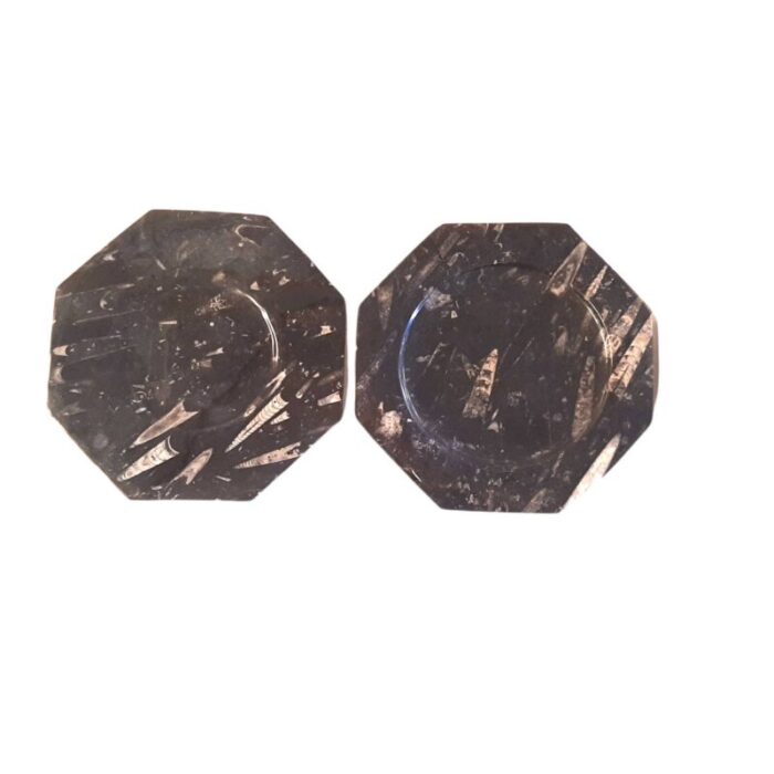 octagonal jurassic black marble fossil set of 4 1