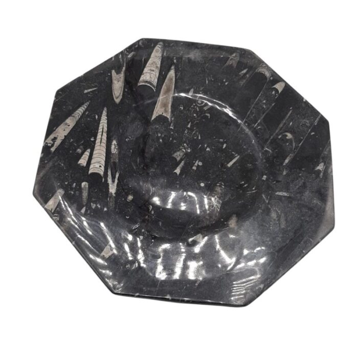 octagonal jurassic black marble fossil set of 4 10