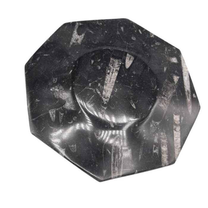 octagonal jurassic black marble fossil set of 4 11