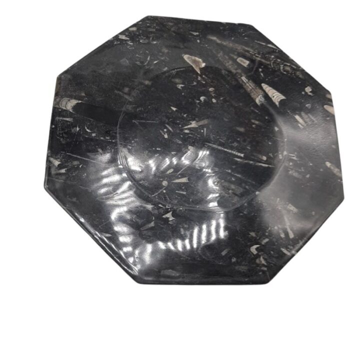 octagonal jurassic black marble fossil set of 4 12