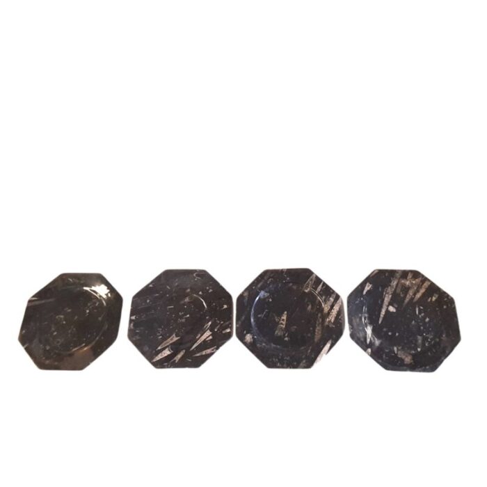 octagonal jurassic black marble fossil set of 4 2