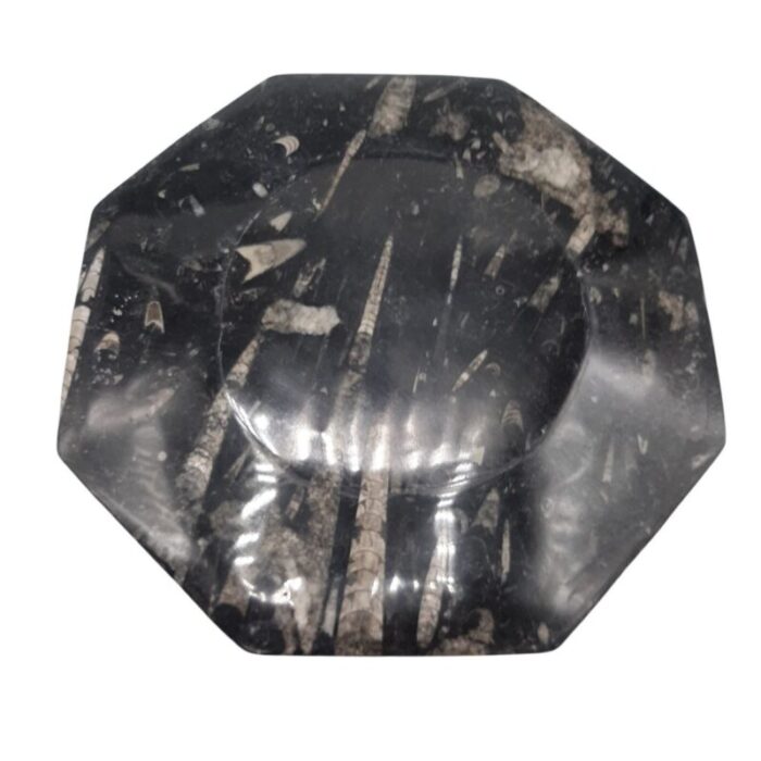 octagonal jurassic black marble fossil set of 4 4