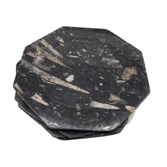 octagonal jurassic black marble fossil set of 4 5