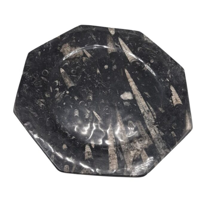 octagonal jurassic black marble fossil set of 4 6