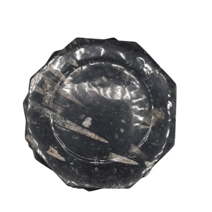 octagonal jurassic black marble fossil set of 4 7