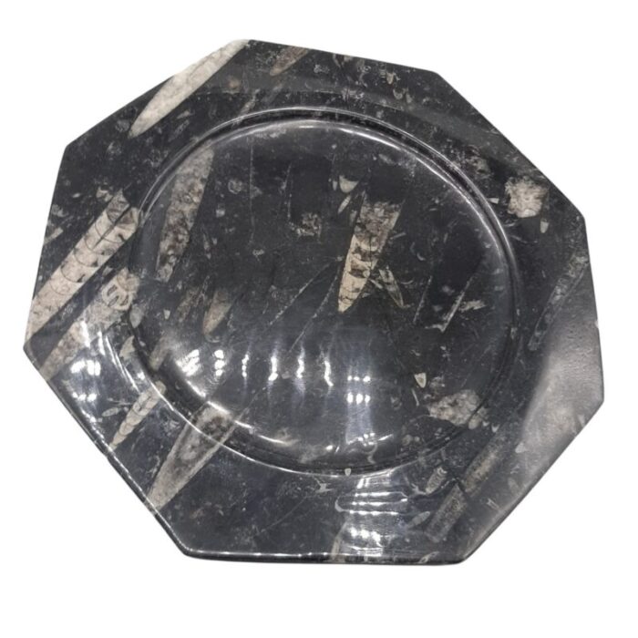 octagonal jurassic black marble fossil set of 4 8