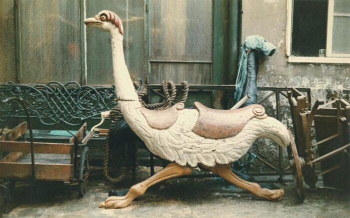 peter cornelius paris ostrich from the paris in color series 1956 4779