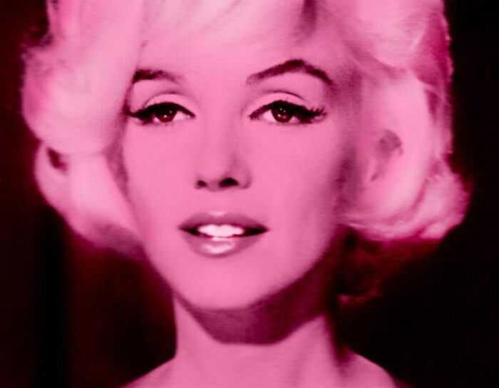 pink marilyn marilyn monroe 1486