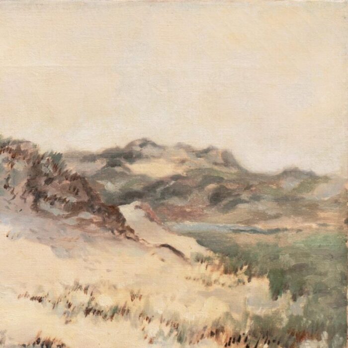 sand dunes at annisquam cape ann by charles henry grant 1894 massachusetts gloucester new england national academy of design 0307