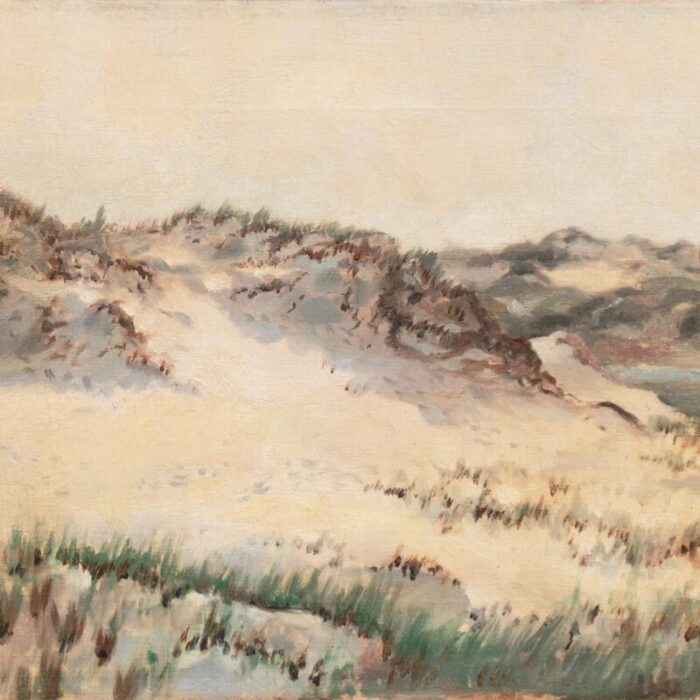 sand dunes at annisquam cape ann by charles henry grant 1894 massachusetts gloucester new england national academy of design 3785