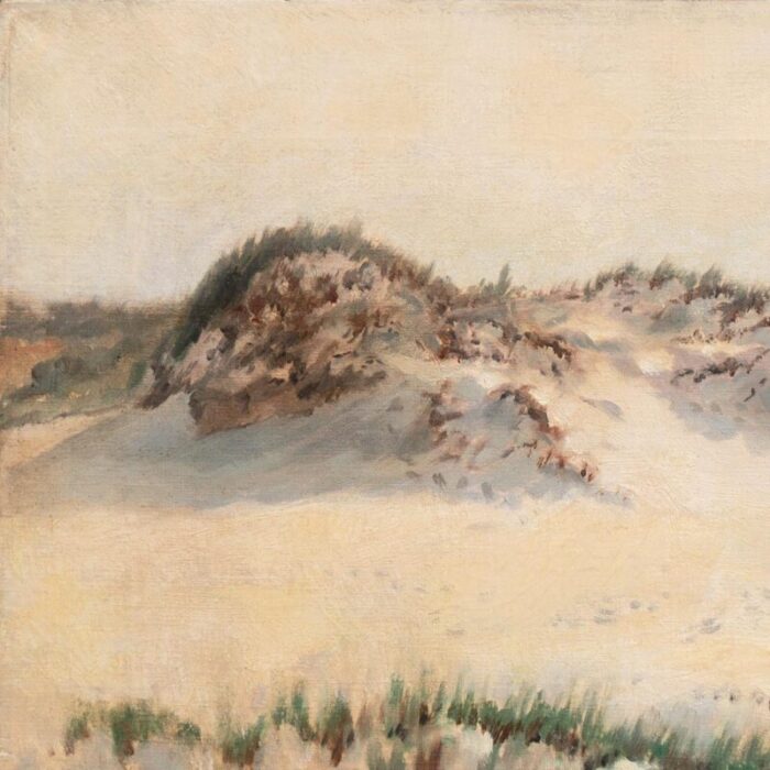 sand dunes at annisquam cape ann by charles henry grant 1894 massachusetts gloucester new england national academy of design 7018