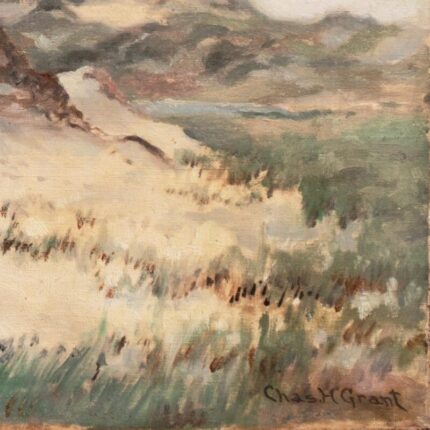 sand dunes at annisquam cape ann by charles henry grant 1894 massachusetts gloucester new england national academy of design 9111