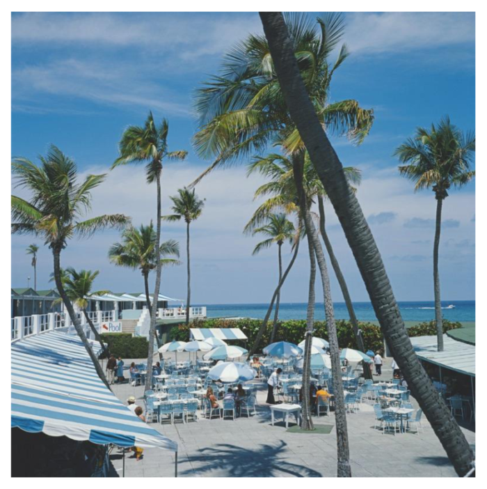 slim aarons florida palms 1978 1258