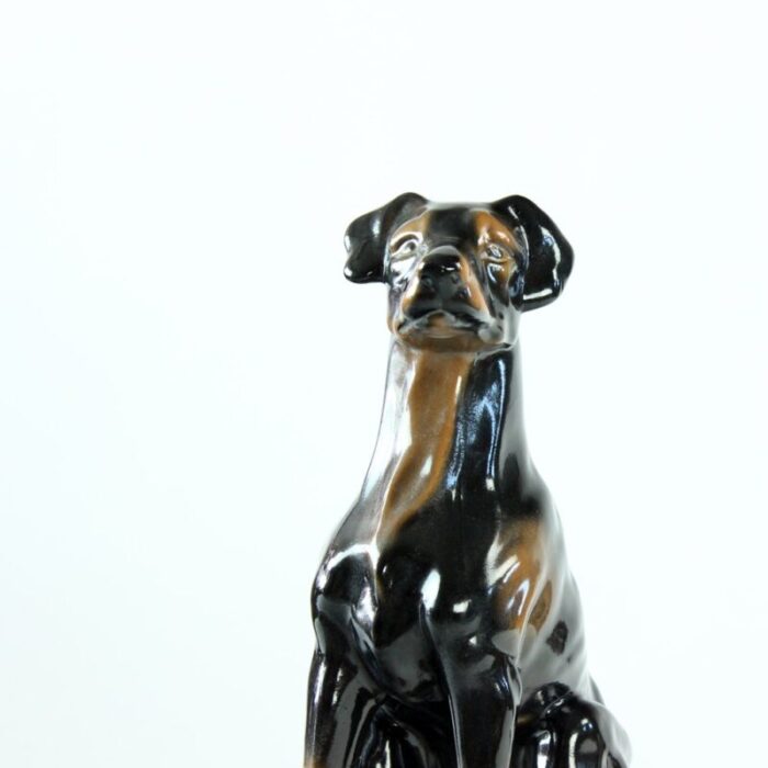 vintage doberman pitcher statue in porcelain from jikohera czechoslovakia 1960s 4