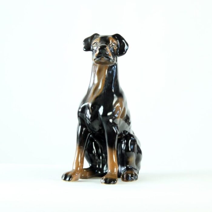 vintage doberman pitcher statue in porcelain from jikohera czechoslovakia 1960s 8